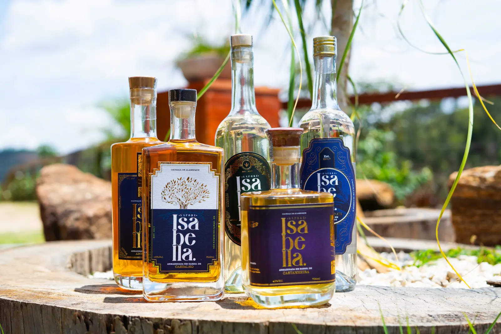 Cinco garrafas de cachaça Vapore Isabella sobre um tronco de madeira